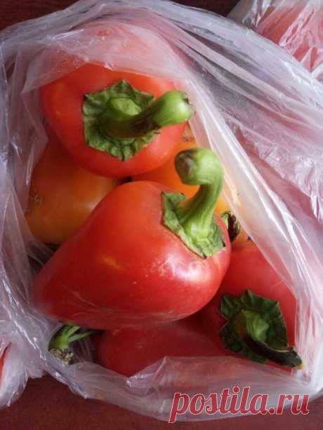 Ленивая заготовка из смеси томатов на раз два. Соль, уксус не потребуются | Дачная жизнь | Яндекс Дзен