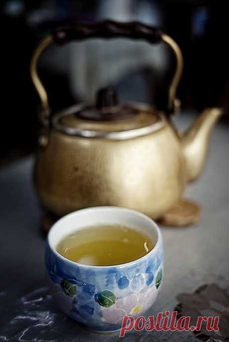 10 неоспоримых доводов раскрывающих всю пользу зелёного чая | ПолонСил.ру - социальная сеть здоровья