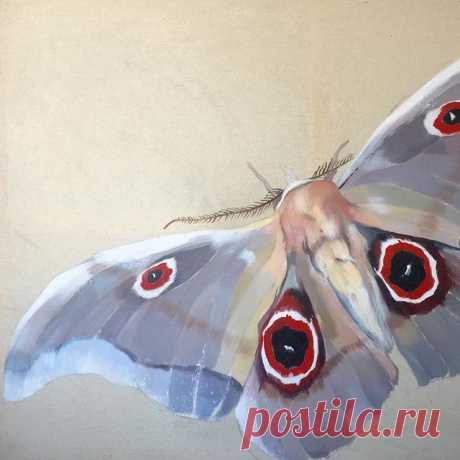 ☄New Moth ☄ Acrylic on canvas 85x110 cm. Available. #masha_lam @houdini_art_group  #painting #artwork #canvas #artistsoninstagram #artinstagram #moth #mothsofinstagram #moth_series