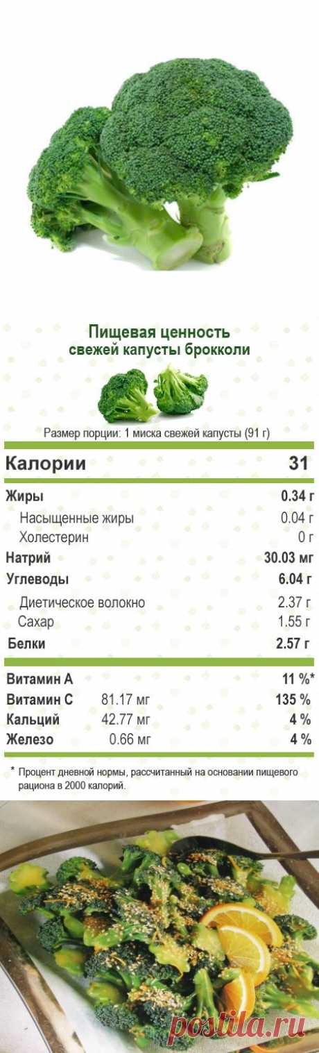 Брокколи — ценный источник альтернативной противораковой терапии. — Всегда в форме!