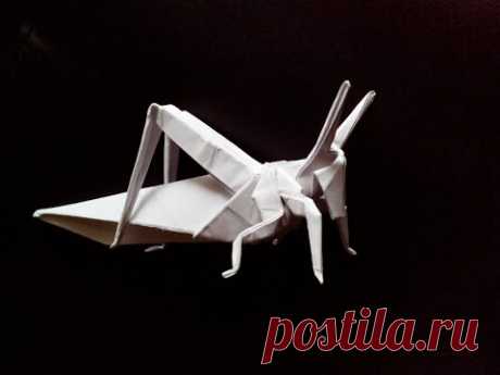 Саранча оригами, locusts origami (Atsunori Muraki)