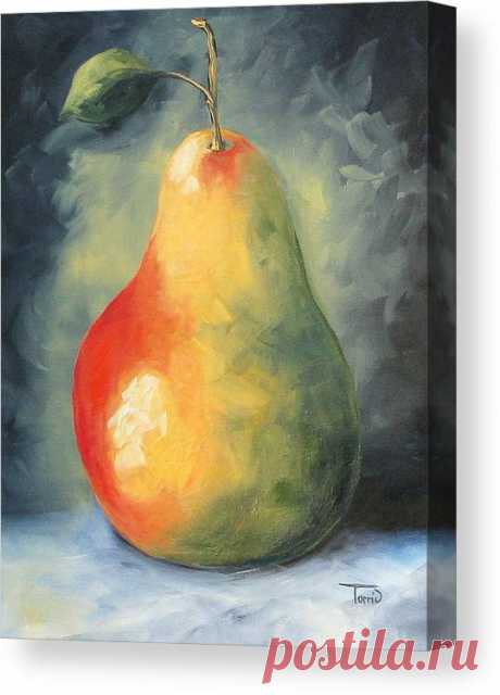My Favorite Pear  Canvas Print / Canvas Art by Torrie Smiley My Favorite Pear  Canvas Print by Torrie Smiley.  All canvas prints are professionally printed, assembled, and shipped within 3 - 4 business days and delivered ready-to-hang on your wall. Choose from multiple print sizes, border colors, and canvas materials.
