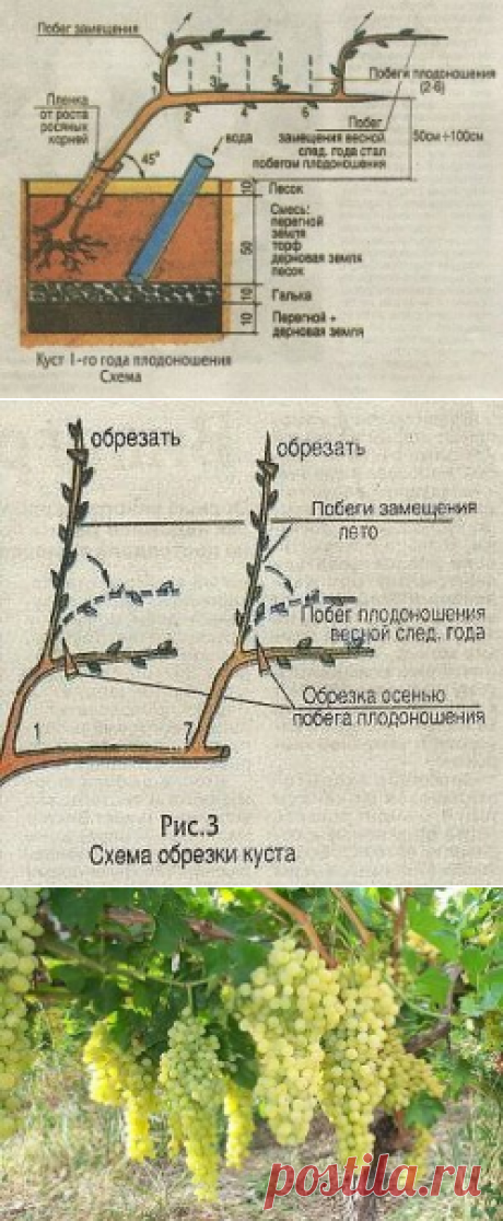 (37) Одноклассники