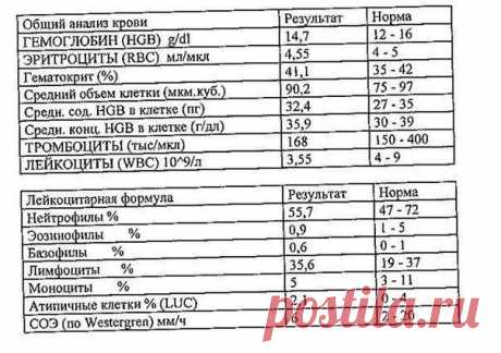 РАСШИФРОВКА ОБЩЕГО АНАЛИЗА КРОВИ | ПОЛЕЗНЫЕ НОВОСТИ