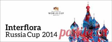 Interflora Russia Cup 2014
Приглашение на мероприятие под громким заявлением &quot;впервые&quot;, конечно же, всегда вызывает интерес. Любопытство берет вверх, и вот ты бредешь по лужам мокрого будничного вечера навстречу новым ощущениям и вдруг оказываешься на самом настоящем празднике жизни. Зал наполнен всевозможными цветочными композициями, благоухает тысячами ароматов живых цветов, и главные гости вечера ......