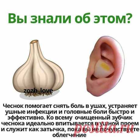 А вы знали об этом?