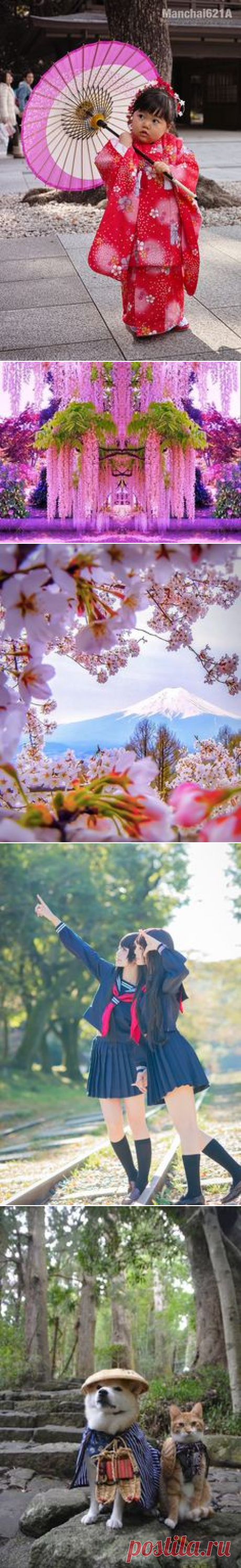 Japan on Pinterest | Kyoto Japan, Anime Girls and Asia