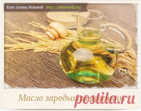 Масло зародышей пшеницы - полезные свойства и применение