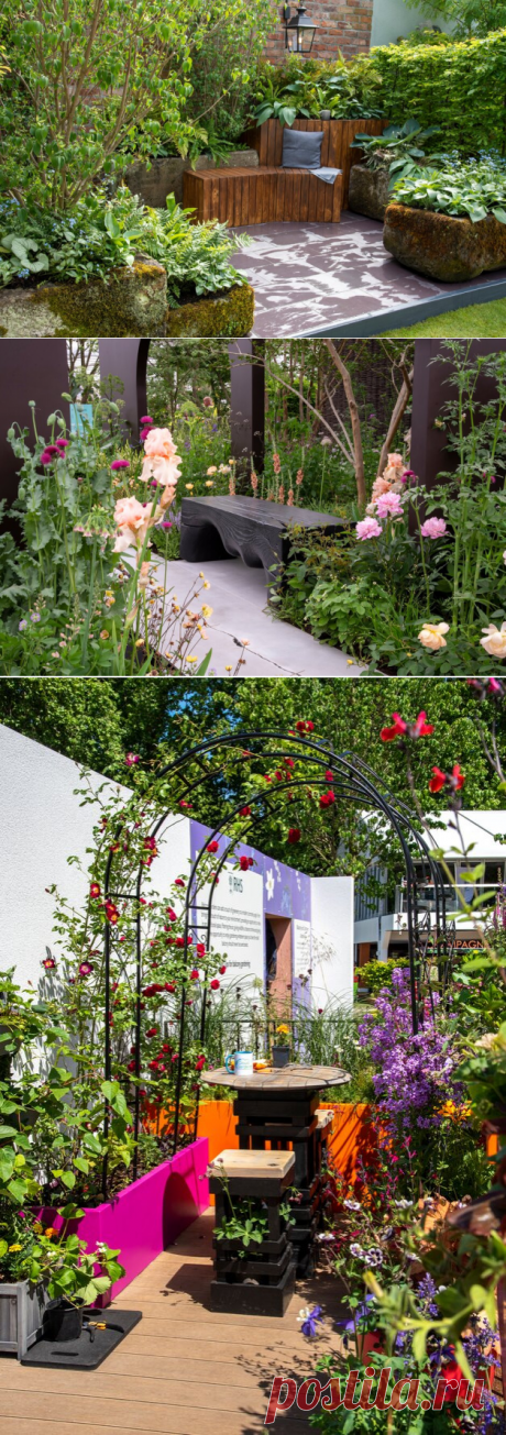 Выставка в Челси: 7 садовых трендов RHS Chelsea 2022 года | Houzz Россия