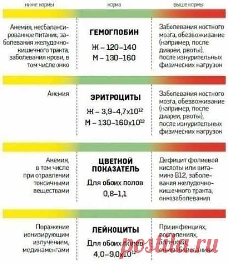 О чем расскажет анализ крови 

Каждый из нас хотя бы раз в жизни сдавал кровь и получал на руки листочек бумаги с буквами, цифрами и единицами измерения. Затем врач, быстренько взглянув на результаты, объявлял: «С вами все нормально», или «Вы больны». Причем сами вы, сколько ни старались и ни пытались забежать вперед и узнать, что с вами случилось, наверняка с трудом понимали, что означают те или иные буквы. На самом деле все не так сложно.