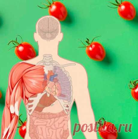 Кому нельзя употреблять помидоры / Будьте здоровы