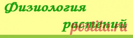 Устойчивость растений к засухе