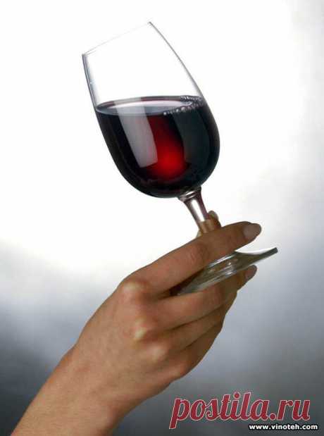 Рецепты изготовления виноградного вина | Домашнее виноделие