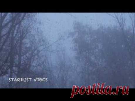 Дождь и гром в туманном лесу | Гроза видео для сна, бессонница и расслабление