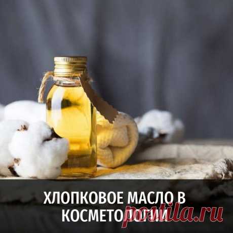 Хлопковое масло в косметологии и другие полезные статьи от Масляного Короля