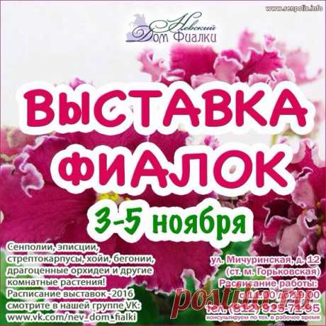 Для любителей цветов Санкт-Петербурга 🌸 🌷🌷🌷🌷🌷🌷🌷 Дорогие любители комнатных цветов!!! Невский Дом Фиалки проводит выставку с 3 по 5 ноября 2016г.! Ждём всех желающих по адресу: ул. Мичуринская, д. 12. Метро Горьковская. режим работы с 11ч до 19ч. В последний день выставки до 18 часов, НДФ в обычном режиме( до 19 часов). На выставке будет представлен прекрасный мир семейства геснериевых - фиалки, стрептокарпусы, колерии, колумнеи, эписции, ахименесы, а также хойи, пеларгонии и другие растения, с…