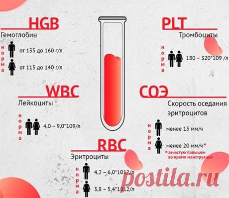 Анализ крови - медицинская расшифровка