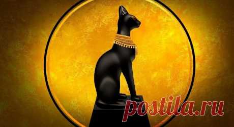 Почему египтяне поклонялись кошкам ? Практическое значение кошки в Древнем Египте было так велико, что именно в этот период кошку в стали считать священным животным. Египтяне обожествляли кошек, видя в них существ, способных воплощать в себе образы конкретных богов. Облик огромного кота принимал великий бог солнца Ра, победивший Апопа, змея тьмы. #ДревнийЕгипет  #кошки #интересно Подписывайтесь на канал Калейдоскоп новостей чтоб быть