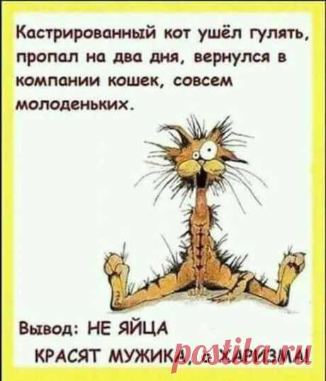 В автобусе давка. Около молодой девушки стоит парень и трется об нее... 
— Бэлочка, ты когда-нибудь слышала за слово «деликатность»?— Та слышала … У меня в стиральной машине такой режим есть!

Он длинно выругался словом из трёх букв…

Продавщицы ларьков, когда идут домой …