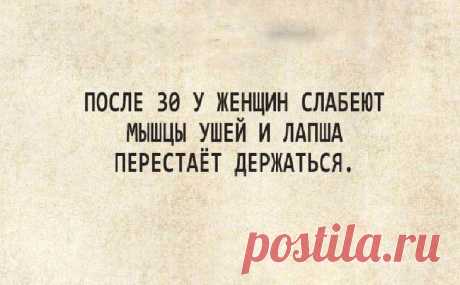 20 отличных шуток с просторов Сети для прекрасного настроения на весь день 20 отличных шуток с просторов Сети для прекрасного настроения на весь деньЮмор делает жизнь проще, интересней, и ярче, ведь все мы знаем, что удача любит счастливых и жизнерадостных людей.
Мы продолжа...