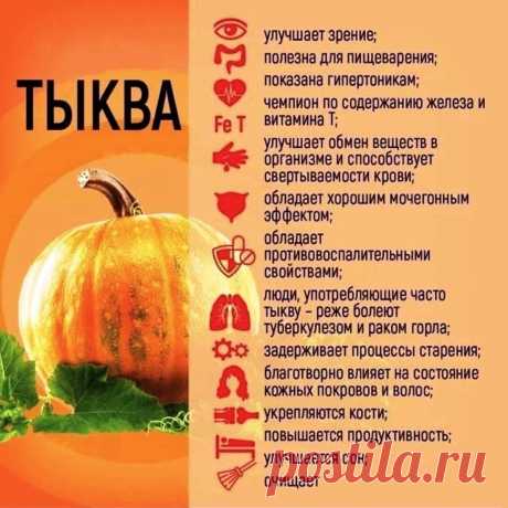 Тыква - лечебные свойства