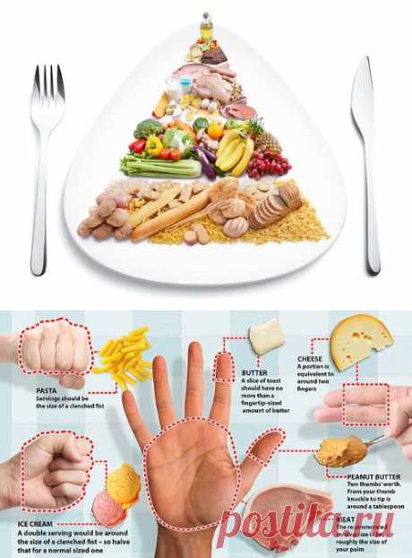 Порции, от которых не толстеют: Здоровое питание - diets.ru