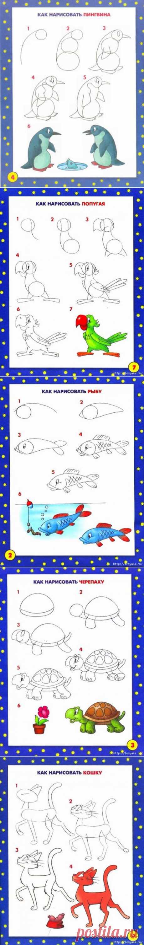 17 пошаговых рисунков животных для детишек.