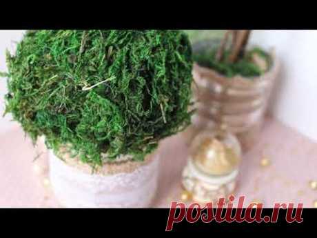 Интерьерное деревце за пару минут/ DIY topiary tree - YouTube