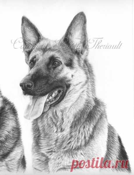 Немецкая овчарка спасательная собака рисунок-портреты домашних животных рисунок на заказ графитовый карандаш портреты домашних животных-памятный подарок питомцу