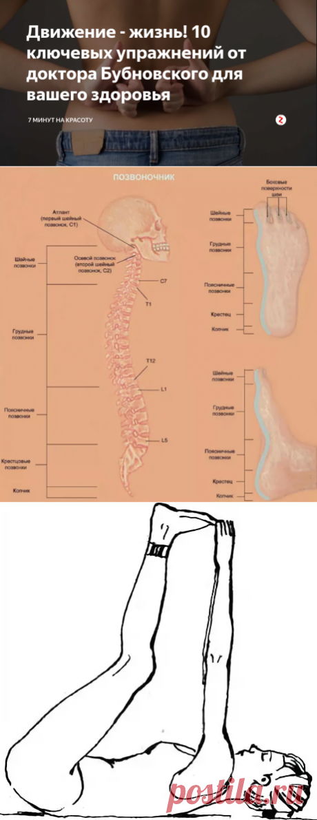 Движение - жизнь! 10 ключевых упражнений от доктора Бубновского для вашего здоровья | 7 минут на красоту | Яндекс Дзен