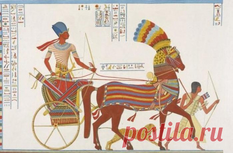 Священные животные в Древнем Египте