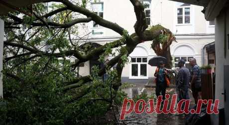 Сильнейший ливень обрушился на Ростов-на-Дону Сильный дождь в Ростове-на-Дону в воскресенье вечером повалил как минимум 27 деревьев и подтопил несколько домов, сообщает администрация города.