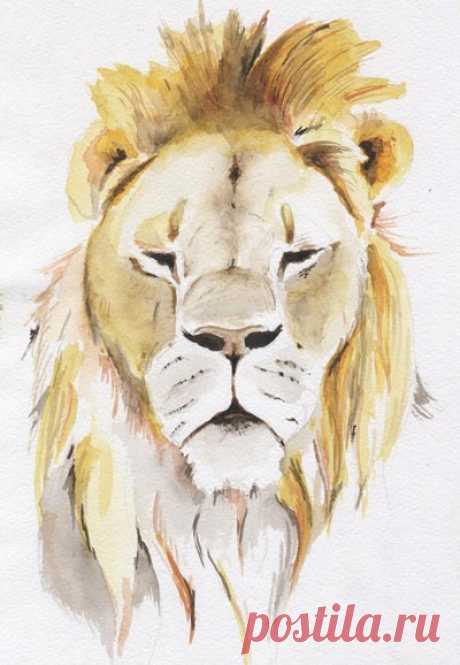Рисуем льва