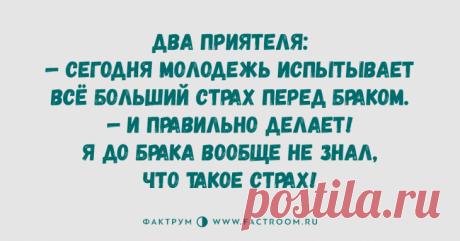 Чудная подборка анекдотов, заслуживающая вашего внимания