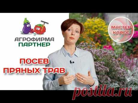 Посев пряных трав | Мастер-класс от 14 января 2022 года | #огород #семена #дача