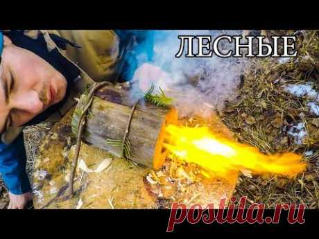 7 ПРОСТЫХ СОВЕТОВ ДЛЯ ЛЕСА | 7 BUSHCRAFT TIPS