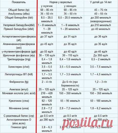 Нормы биохимического анализа крови, сохраните, чтобы не потерять