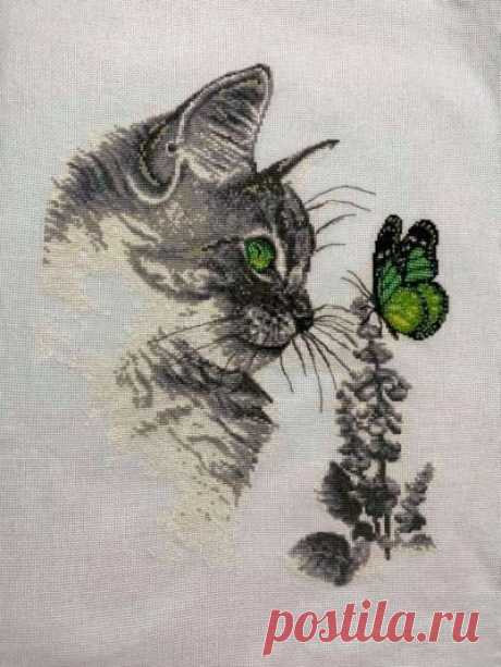 Кот и зеленая бабочка- схема для вышивки монохромного кота и зеленой бабочки