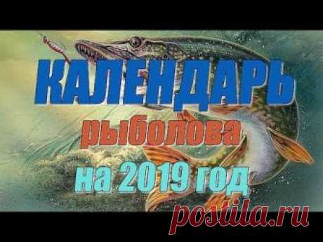 Календарь рыболова на 2019 год