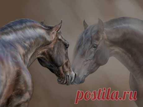 ...Рисунки лошадей от Svetlana (Animal75Artist)...♦\\♦2 часть