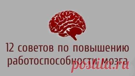 12 советов по повышению работоспособности мозга