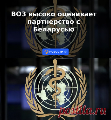ВОЗ высоко оценивает партнерство с Беларусью | 14 сентября 2022 - Новости Mail.ru