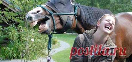 Лошади тоже умеют &quot; смеяться&quot; (ржать!)- пусть смеются с нами, а не над нами!