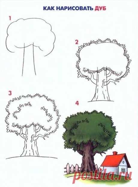 Кaк рисовать деревья. Простые схемы для малышей и их родителей.