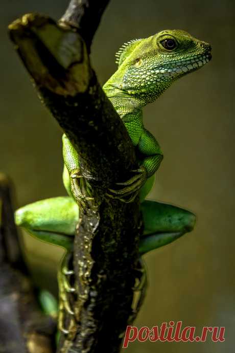 Artistic-realistic nature - 💙 Posing on 500px by Thorsten Scheel, Hof, Germany...