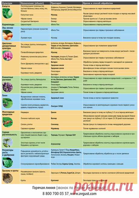 Рекомендации по защите культур