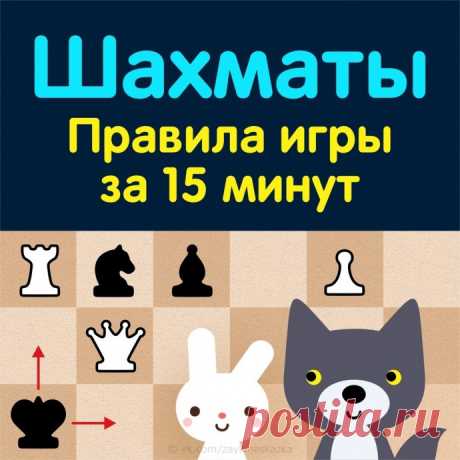 Правила игры в шахматы для детей за 15 минут