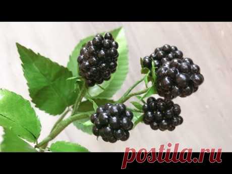 ABC TV | Как сделать Blackberry Fruit - Easy Craft Tutorial