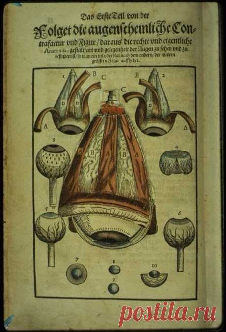Руководство по офтальмологии, 1583 год: med_history — ЖЖ