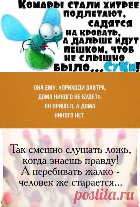 (31) Одноклассники